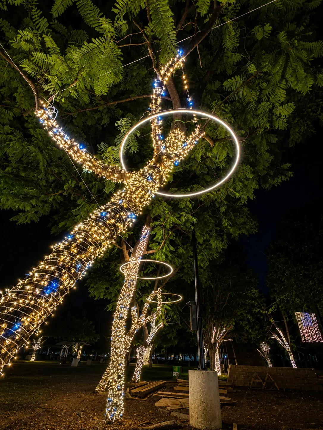 Proyecto municipal de iluminación — imagen 3 de 4